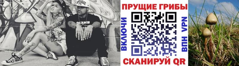 Купить где  Нижняя Салда  Галлюциногенные грибы GOLDEN TEACHER 